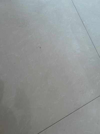 无未编辑专业未编辑专业未编辑专业