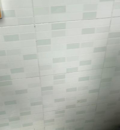 无未编辑专业未编辑专业未编辑专业