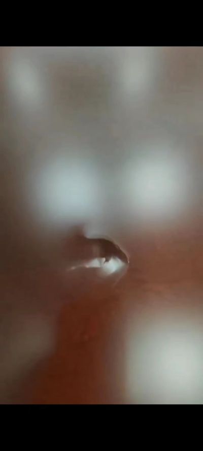 无未编辑专业未编辑专业未编辑专业