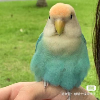 无未编辑专业未编辑专业未编辑专业