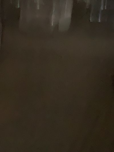 无未编辑专业未编辑专业未编辑专业