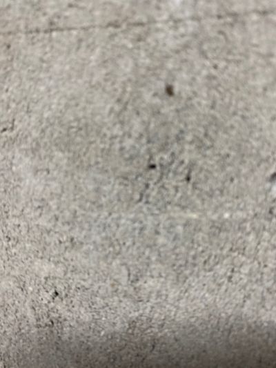 酒店未编辑专业未编辑专业未编辑专业