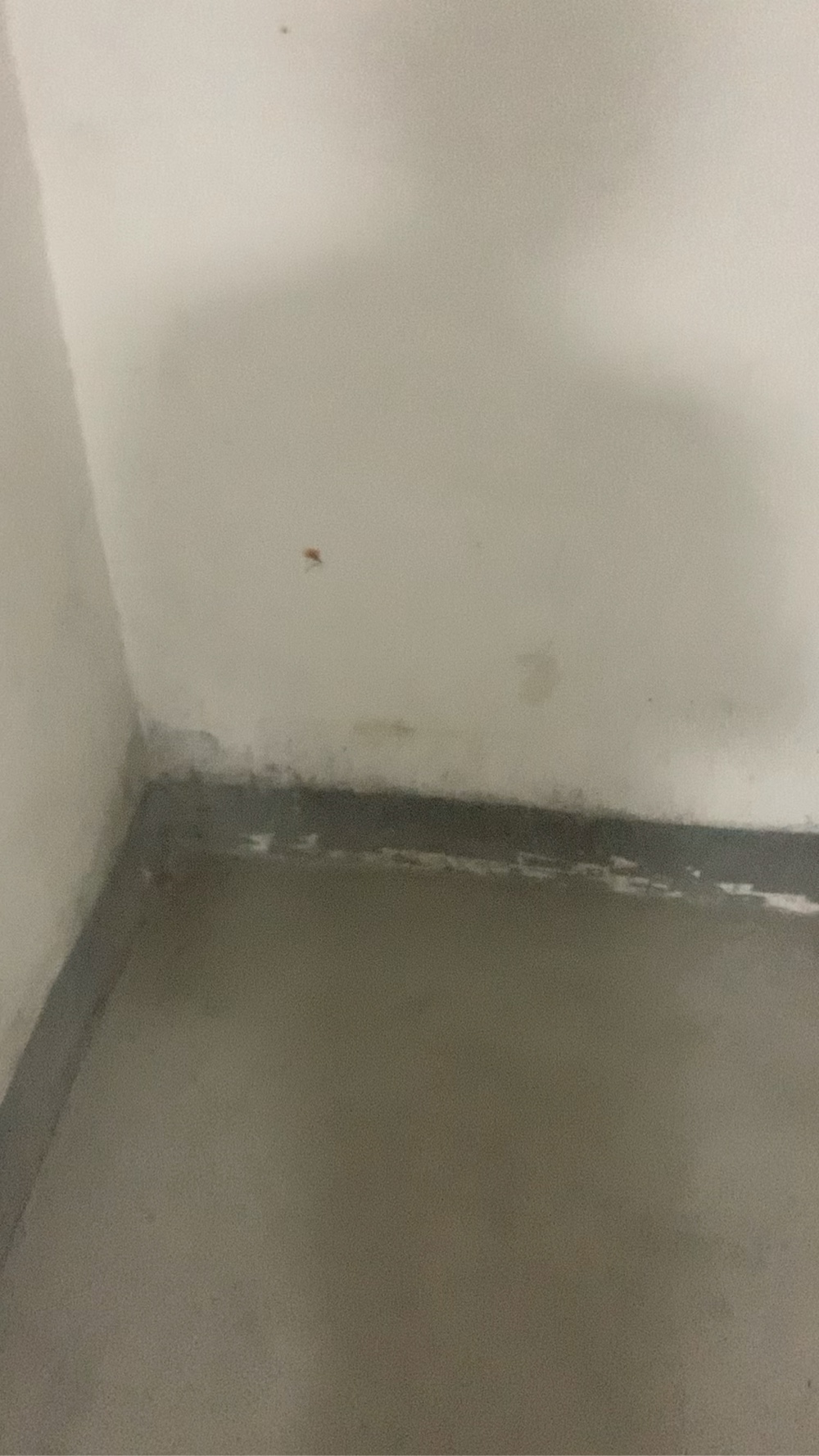 智能弱电服务未编辑专业未编辑专业未编辑专业