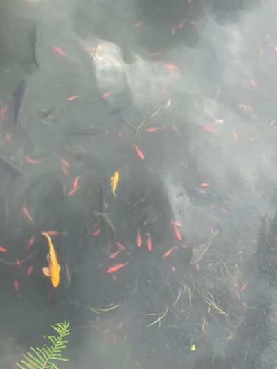 土木工程未编辑专业未编辑专业未编辑专业