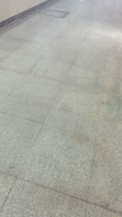 绿化，未编辑专业未编辑专业未编辑专业