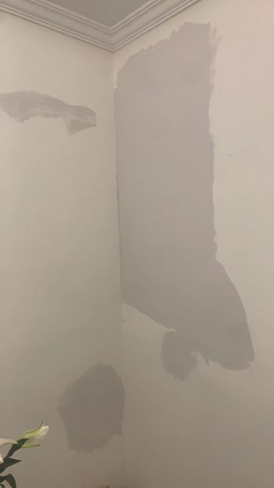 无未编辑专业未编辑专业未编辑专业