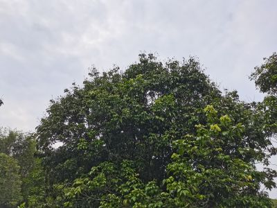 派单未编辑专业未编辑专业未编辑专业