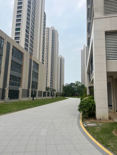 无未编辑专业未编辑专业未编辑专业