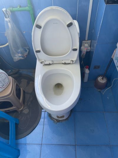 无未编辑专业未编辑专业未编辑专业