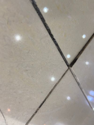 管理未编辑专业未编辑专业未编辑专业