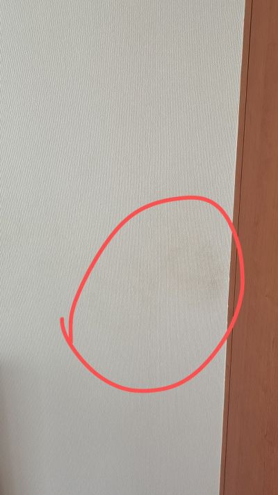 无未编辑专业未编辑专业未编辑专业