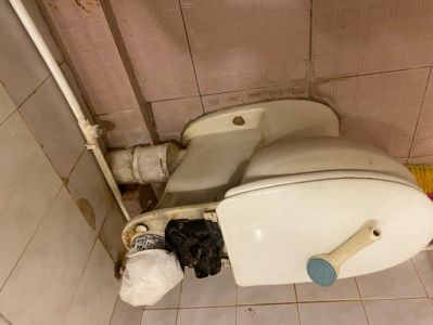 无未编辑专业未编辑专业未编辑专业