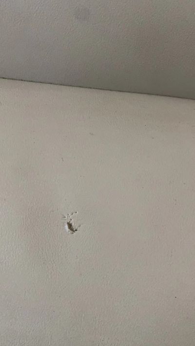 装修未编辑专业未编辑专业未编辑专业