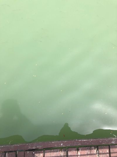 运输业未编辑专业未编辑专业未编辑专业