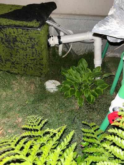 无未编辑专业未编辑专业未编辑专业
