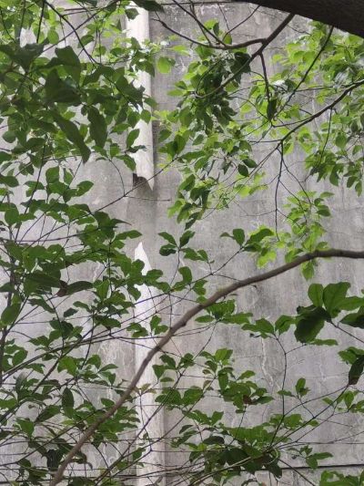 电工水，电电缆，充电桩无