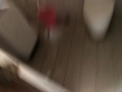 无未编辑专业未编辑专业未编辑专业