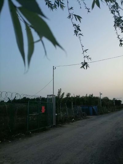 清洗各种家电未编辑专业燃气壁维修燃气壁维修