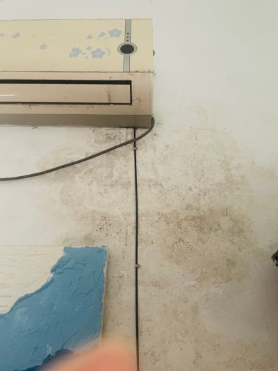 无未编辑专业未编辑专业未编辑专业