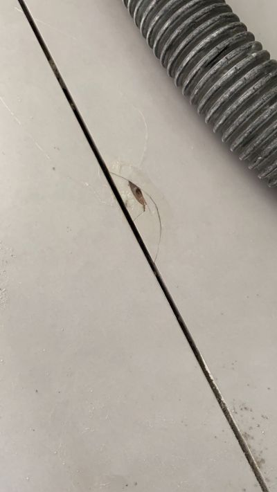 无未编辑专业未编辑专业未编辑专业