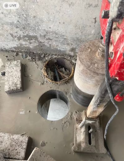 无未编辑专业未编辑专业未编辑专业