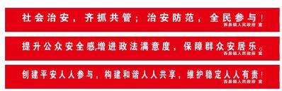 广告未编辑专业未编辑专业未编辑专业