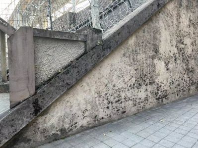 无未编辑专业未编辑专业未编辑专业