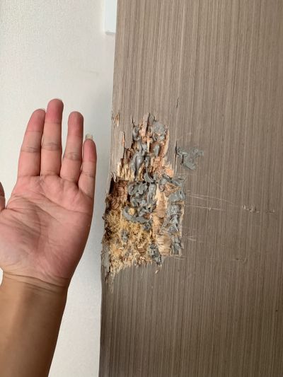 无未编辑专业未编辑专业未编辑专业