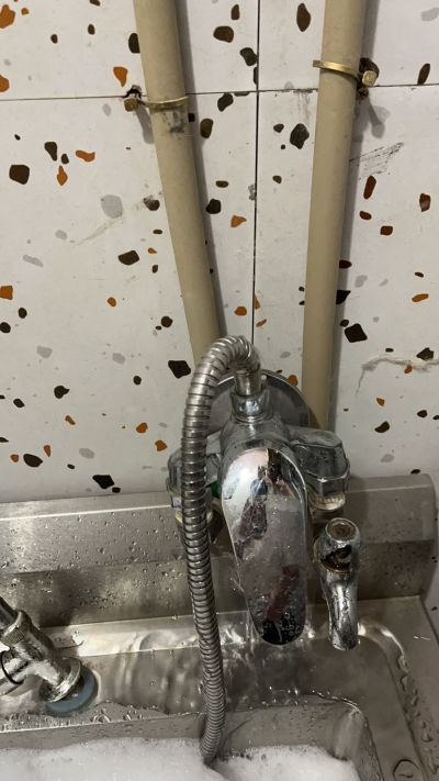 宠物未编辑专业未编辑专业未编辑专业