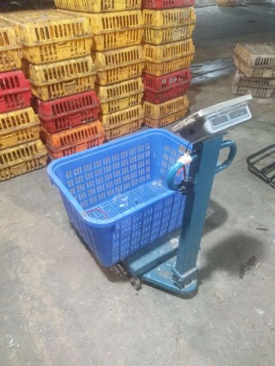 无未编辑专业未编辑专业未编辑专业