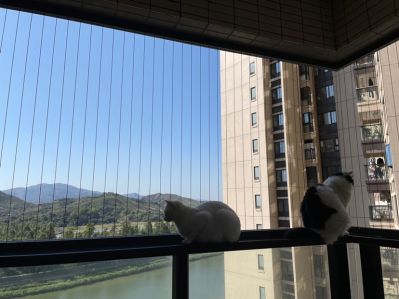 窗户未编辑专业未编辑专业未编辑专业
