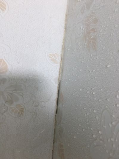 无未编辑专业未编辑专业未编辑专业