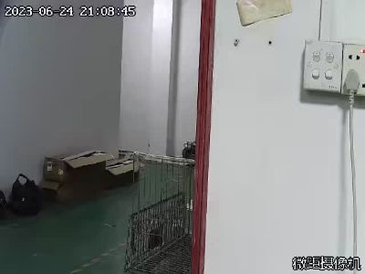 服装未编辑专业未编辑专业未编辑专业
