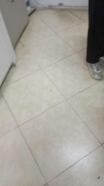 无无未编辑专业未编辑专业