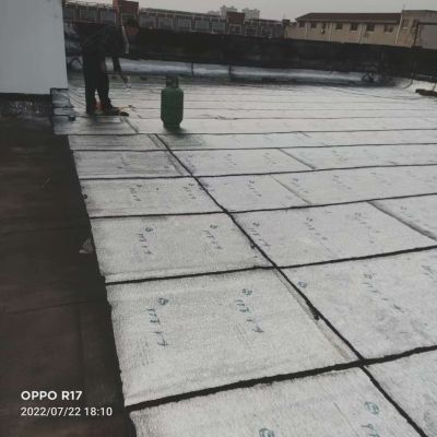 防水屋顶外墙防水未编辑专业未编辑专业