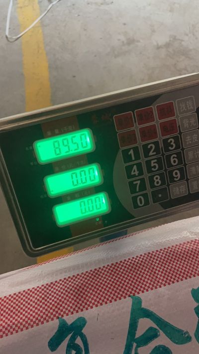 无未编辑专业未编辑专业未编辑专业