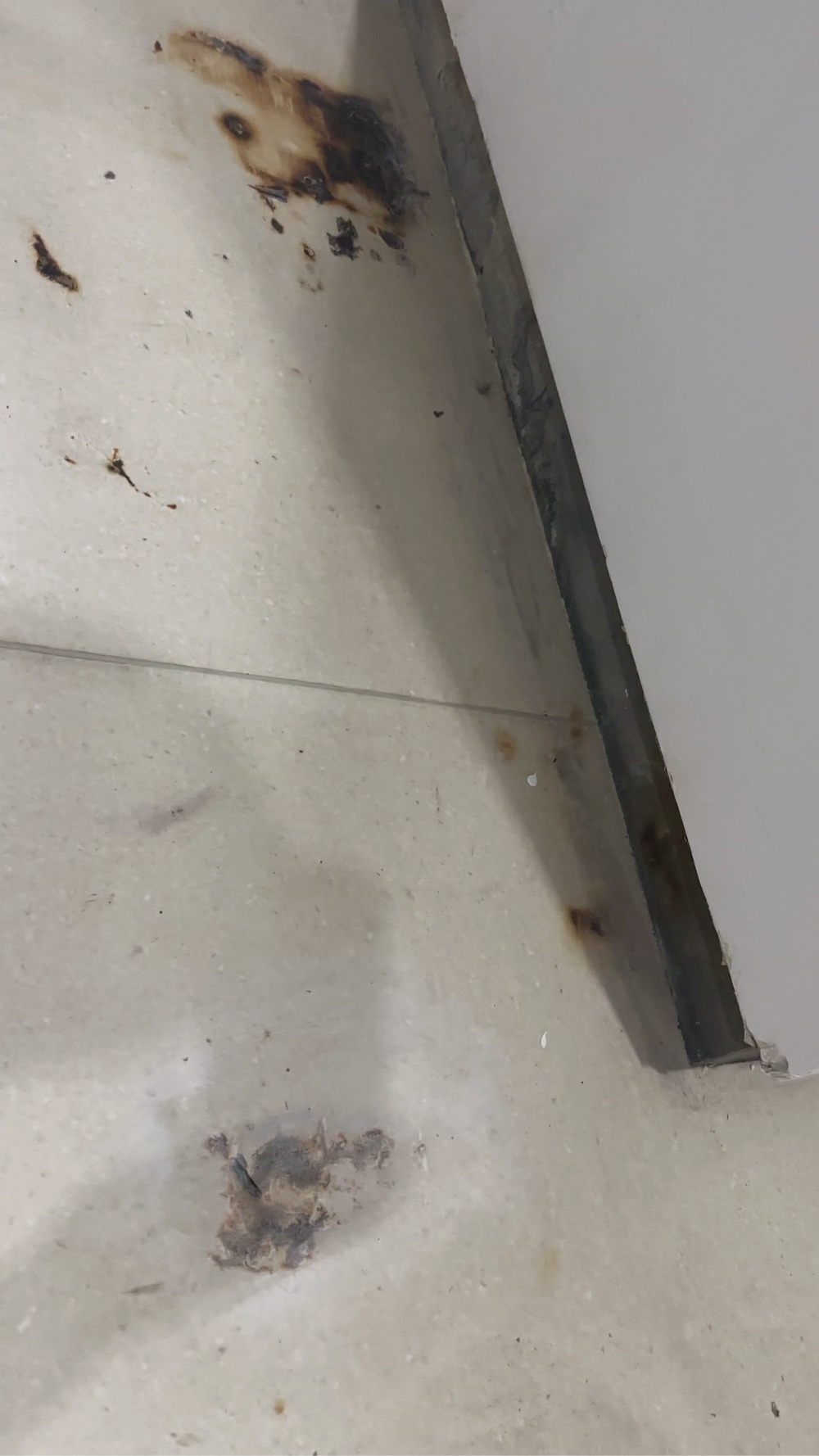 无未编辑专业未编辑专业未编辑专业