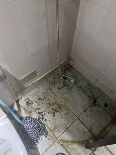 无未编辑专业未编辑专业未编辑专业