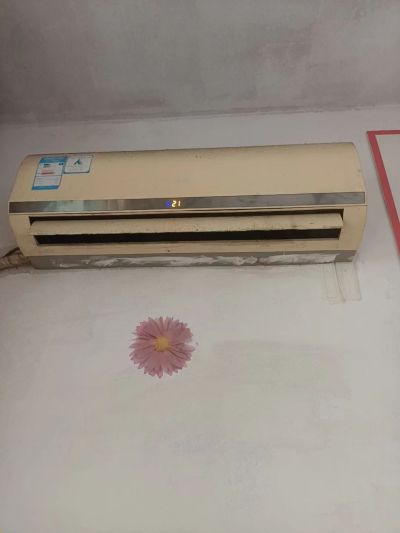 无未编辑专业未编辑专业未编辑专业