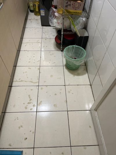 无未编辑专业未编辑专业未编辑专业