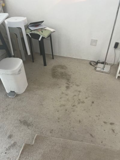 无未编辑专业未编辑专业未编辑专业