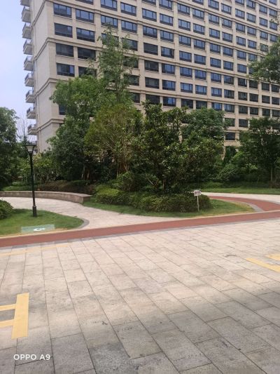 绿化绿化养护绿化养护未编辑专业