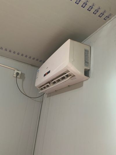 花卉未编辑专业未编辑专业未编辑专业