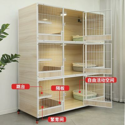 我是勇勇未编辑专业未编辑专业未编辑专业