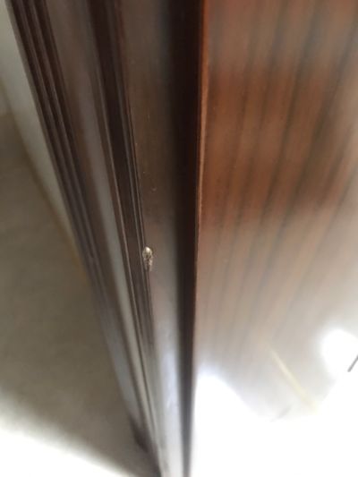 无未编辑专业未编辑专业未编辑专业