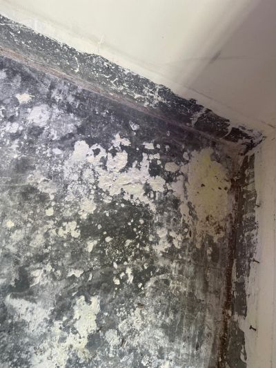 无未编辑专业未编辑专业未编辑专业