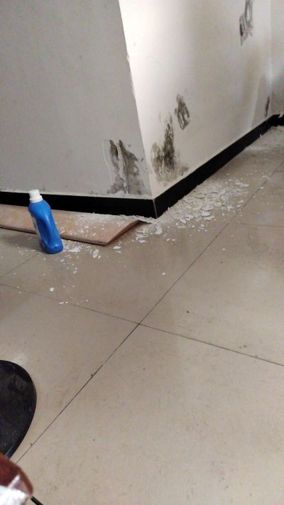 防水补漏油漆专业防水补漏未编辑专业未编辑专业