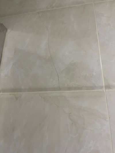 无未编辑专业未编辑专业未编辑专业
