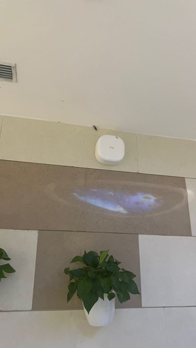 无未编辑专业未编辑专业未编辑专业