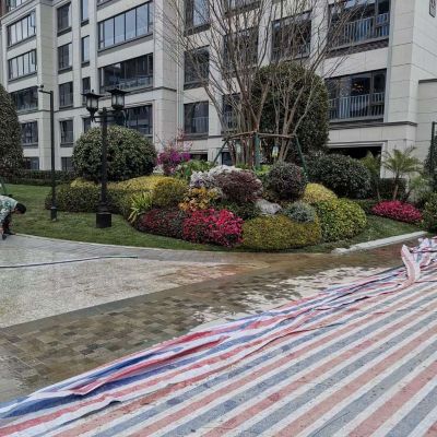 绿化工程未编辑专业未编辑专业未编辑专业